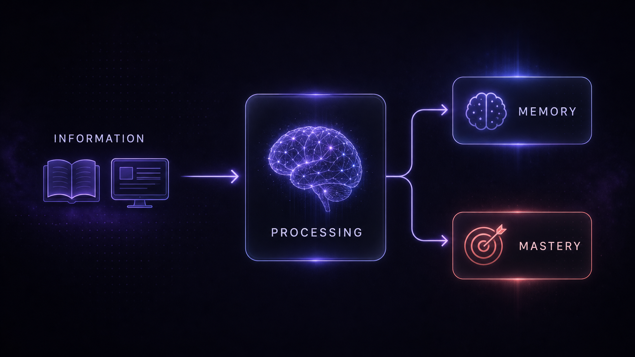 Information in, processing, memory and mastery out